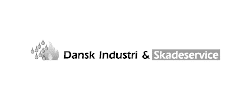 Dansk Industi & Skadeservice